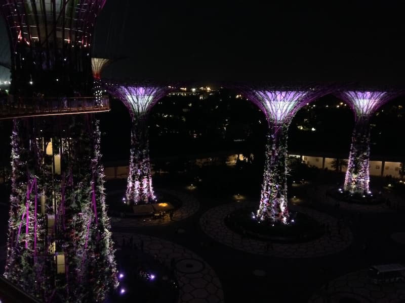 The scenary of Gardens by the bay