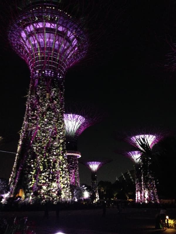 The scenary of Gardens by the bay