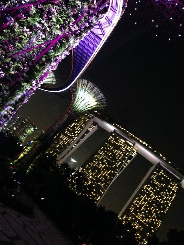The scenary of Gardens by the bay