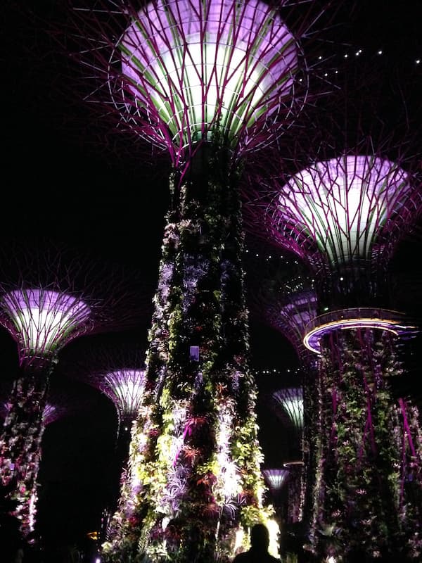 The scenary of Gardens by the bay
