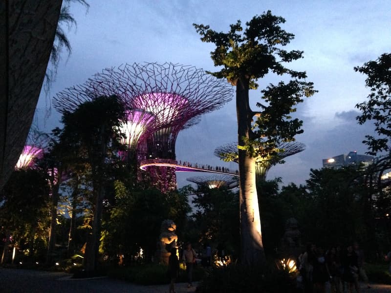 The scenary of Gardens by the bay