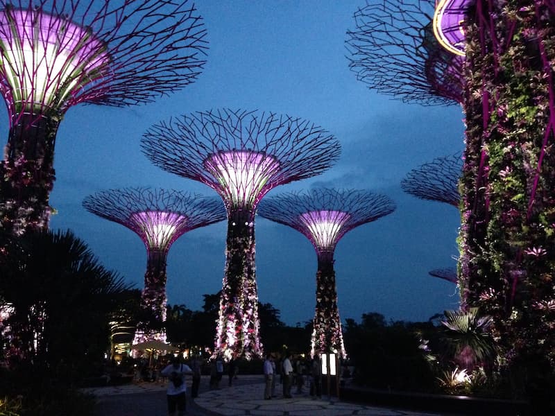 The scenary of Gardens by the bay