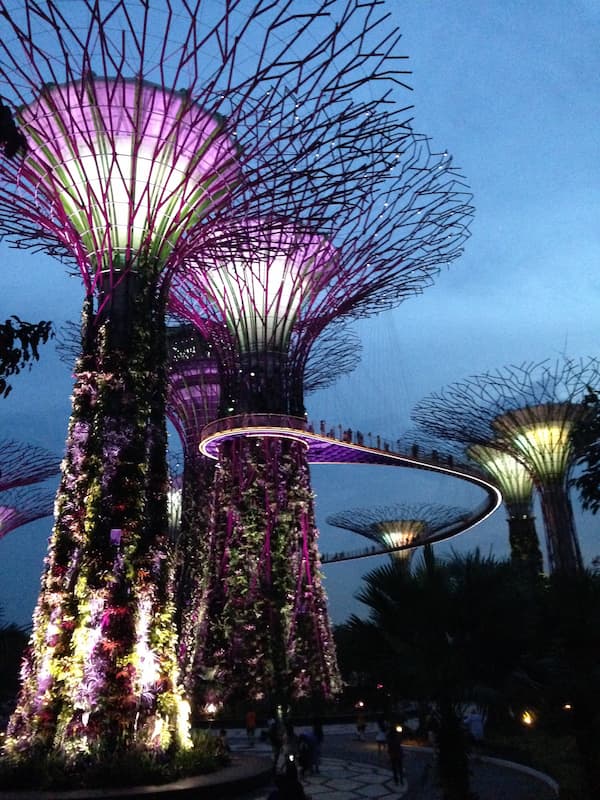 The scenary of Gardens by the bay