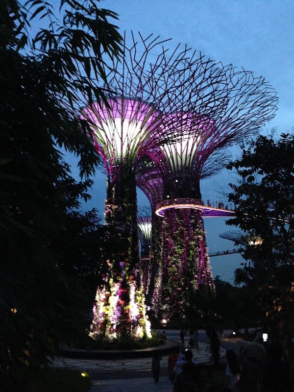 The scenary of Gardens by the bay
