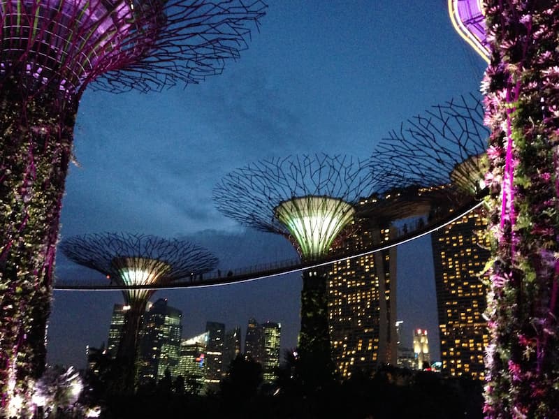 The scenary of Gardens by the bay