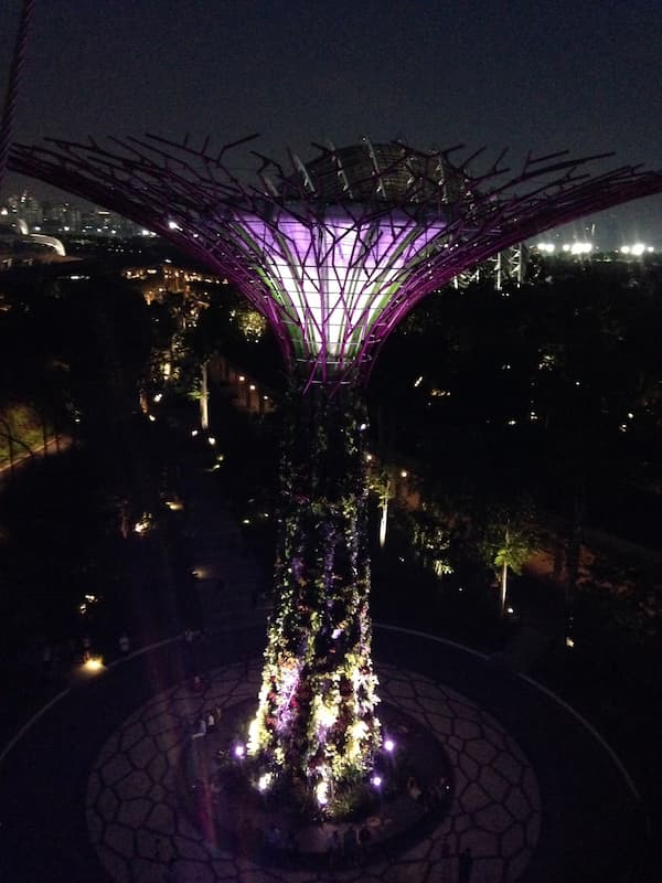 The scenary of Gardens by the bay