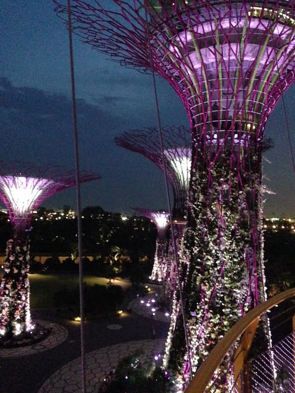 The scenary of Gardens by the bay