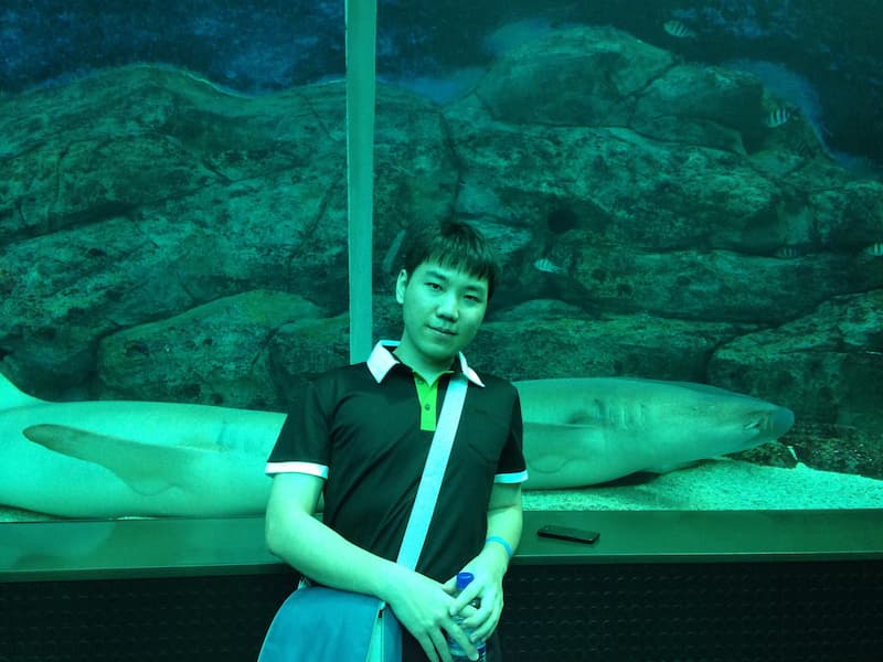 The moray eel