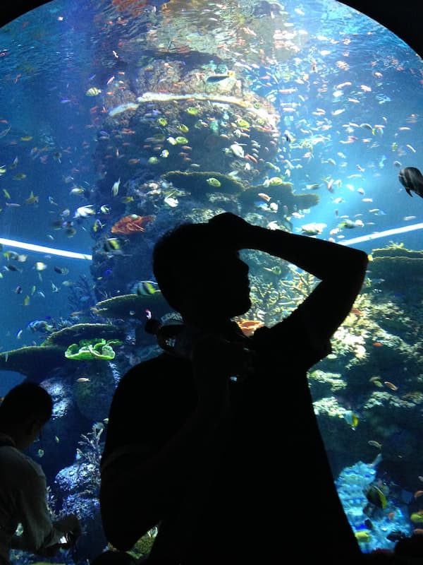Blogger in aquarium