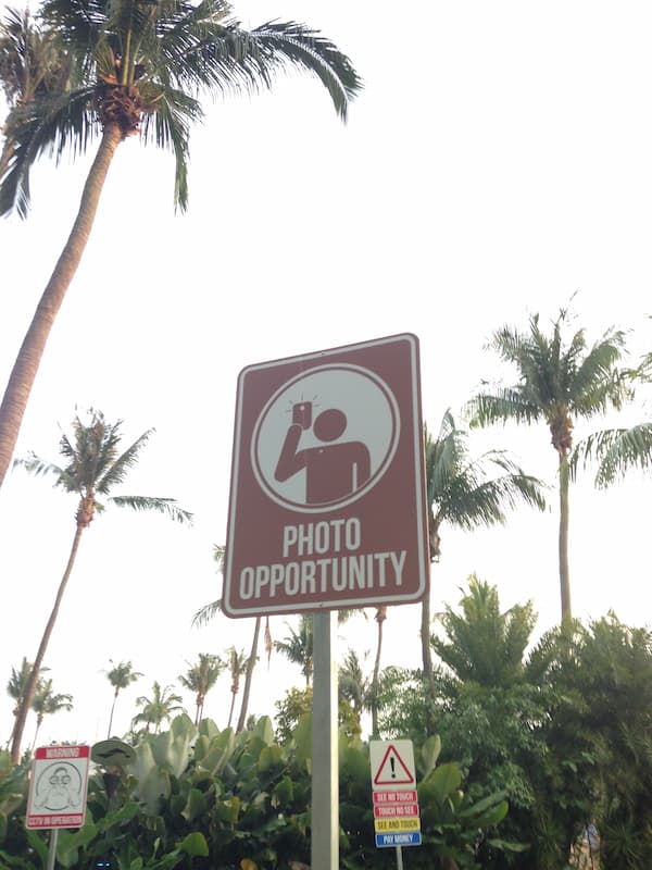 The street sign written 'photo opportunity'