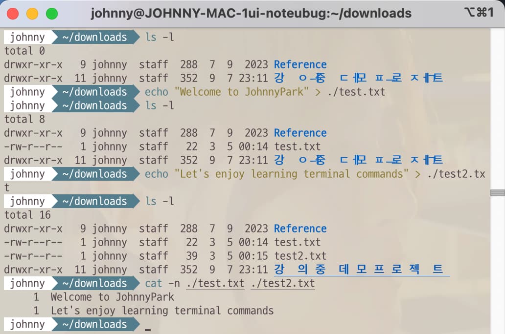 Terminal command to print out the files