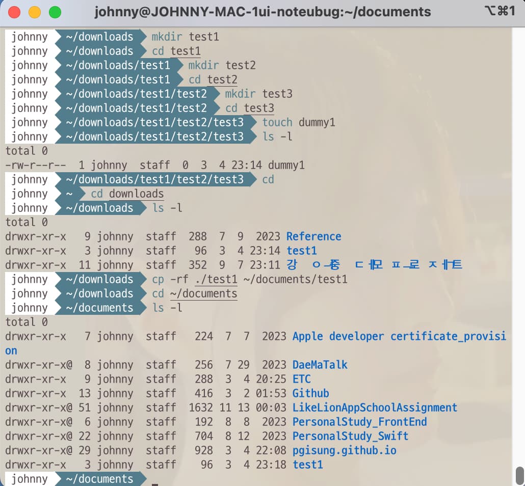 Terminal command to copy directories and files