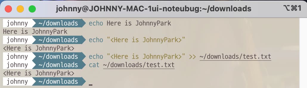 Terminal command to print out the string