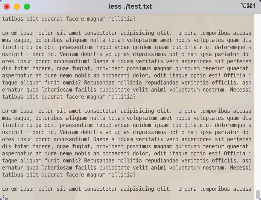 Terminal command to print out a large size file one screen at a time