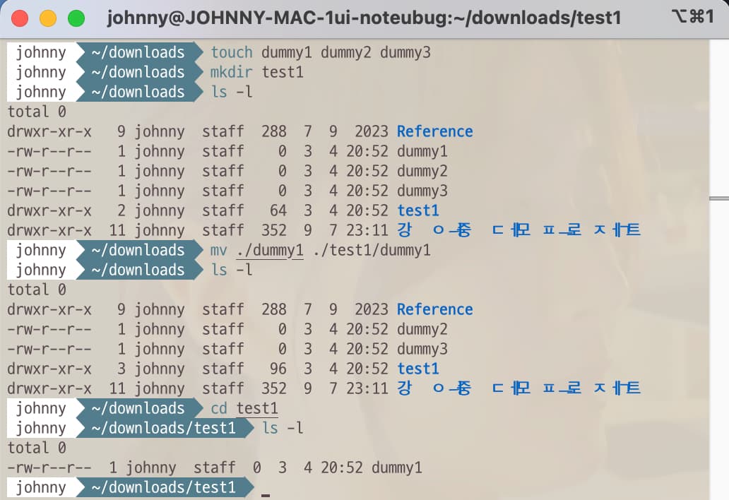 Terminal command to move directories and files