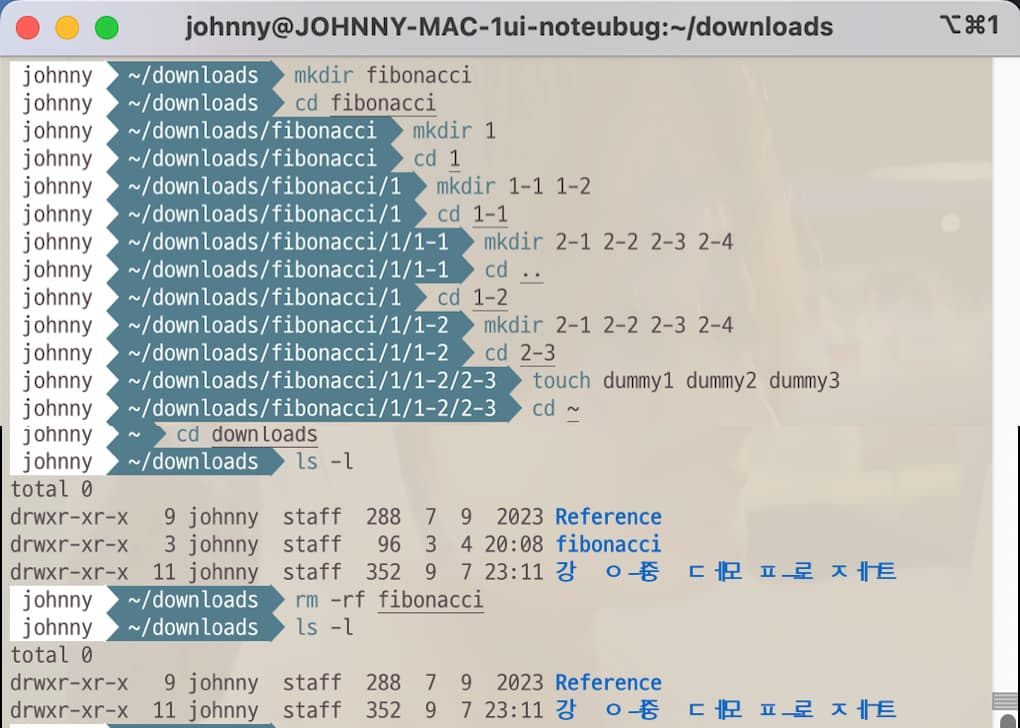 Terminal command to remove non-empty directories and files