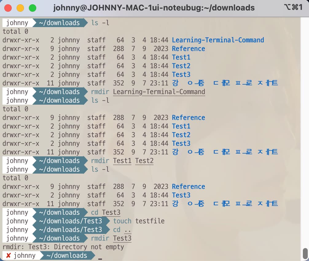 Terminal command to remove empty directories