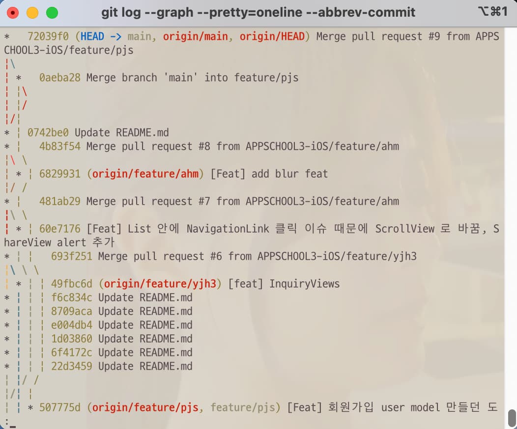 Git command to show log as one line information with graph about branches flow