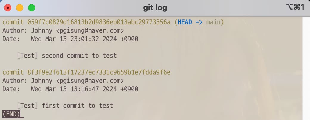 Git command to show log for commits