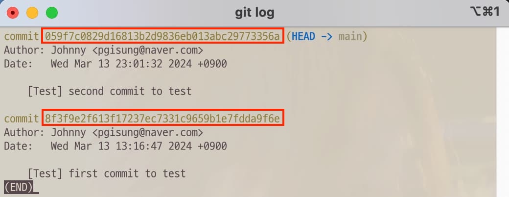 Git log to check commit IDs