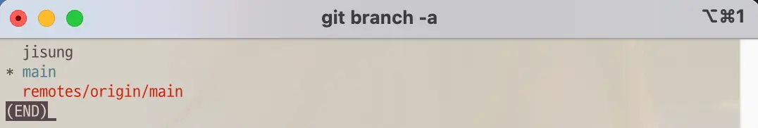 Git all branches list after git command fetch -p