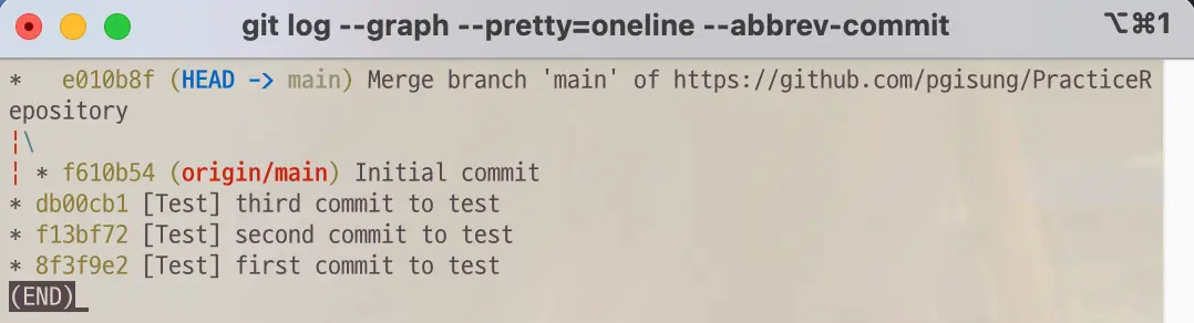 Log result after git command pull --allow-unrelated-histories