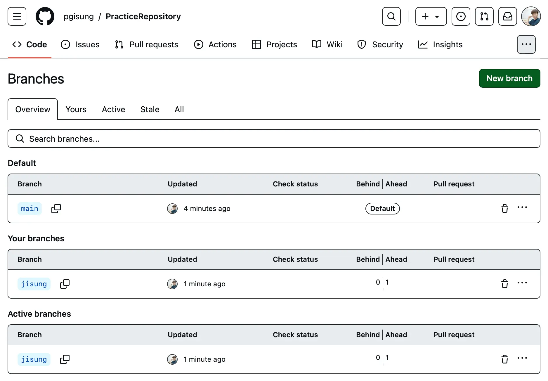 Remote repository in Github after git command push -u