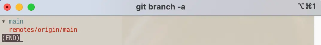 Git all branches list after git command remote prune