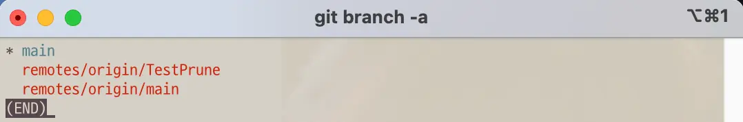 Git all branches list before git command remote prune