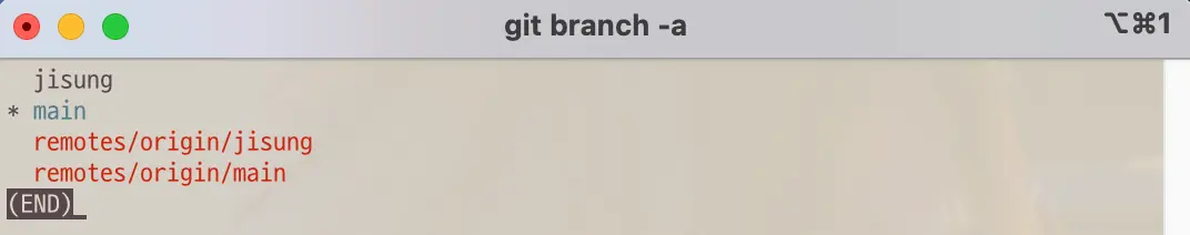 Git all branches list before git command fetch -p