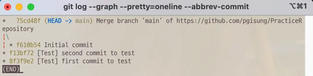 Log result before git command merge