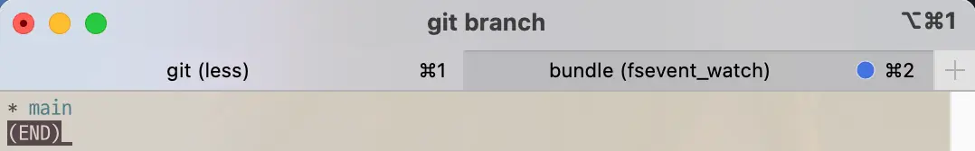 Branch list after git command branch -D