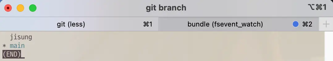 Branch list after git command branch -d