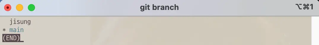 Branch list after git command branch <new branch name>