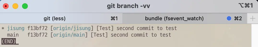 Branch list after git command branch -u