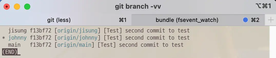 Branch list after git command checkout -t