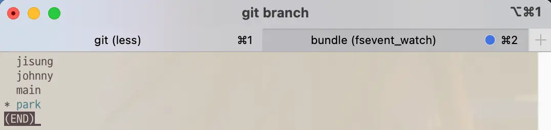 Branch list after git switch -c