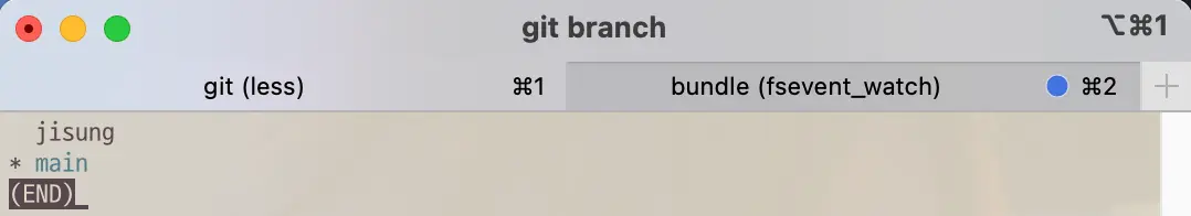 Branch list before git command branch -D