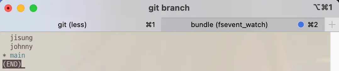 Branch list before git command branch -d