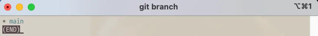 Branch list before git command branch <new branch name>