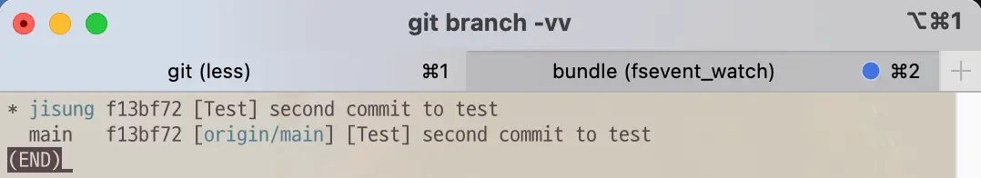 Branch list before git command branch -u