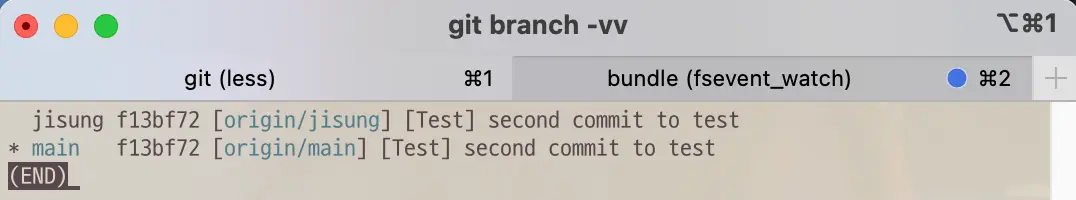 Branch list before git command checkout -t