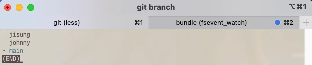 Branch list before git switch -c