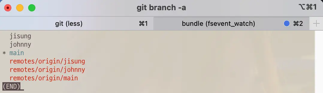 Git command to show list of all branch