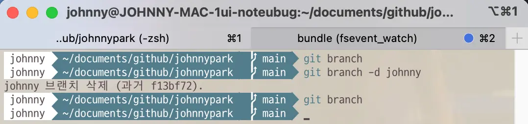 Git command to delete the branch