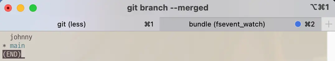 Git command to show list of merged local branch