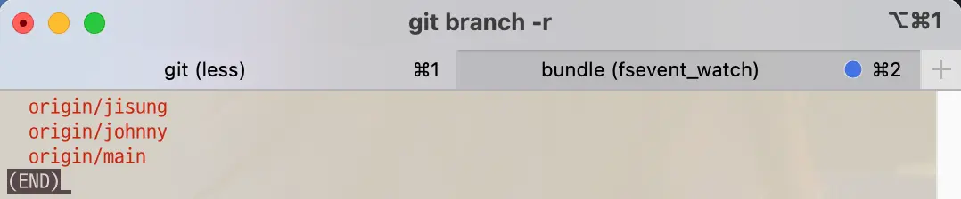 Git command to show list of remote branch