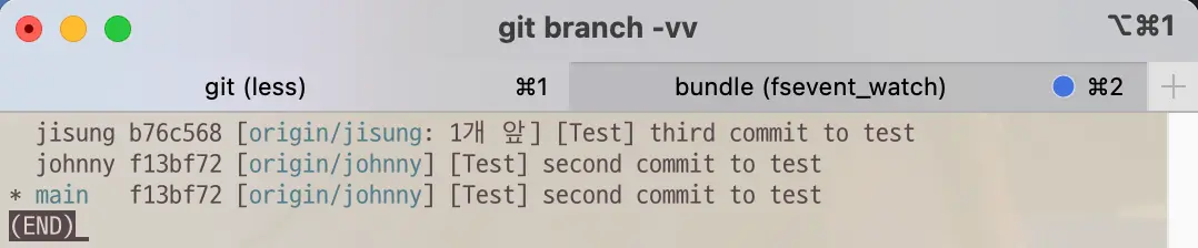 Git command to show list of tracking branch in local repository