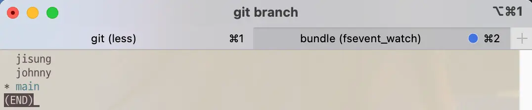 Git command to show list of local branch