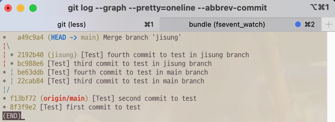 Git log after git command merge